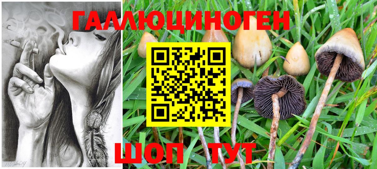 Псилоцибиновые грибы MAGIC MUSHROOMS  Псилоцибиновые грибы GOLDEN TEACHER  Вход с VPN  Кудымкар 